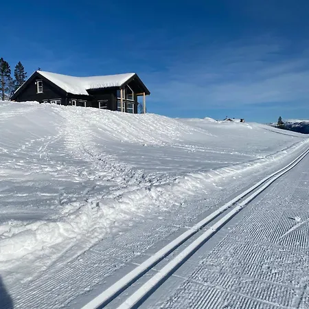 Prázdninový dům Nydelig Ved Voss Og Tursenter